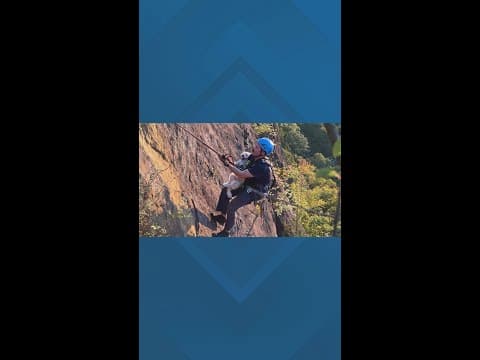 Firefighter saves 2 dogs trapped below cliff