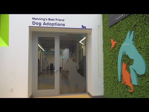 SD Humane Society is housing a record-breaking number of dogs. Here's how to help