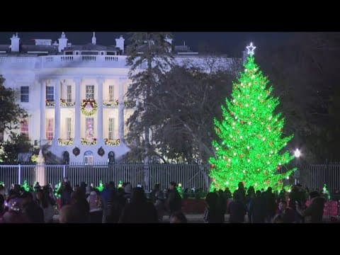 National Christmas Tree on the Ellipse