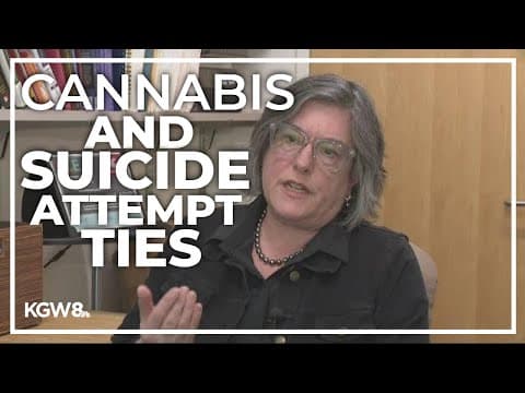 Researchers looks at cannabis and connection to suicide attempts