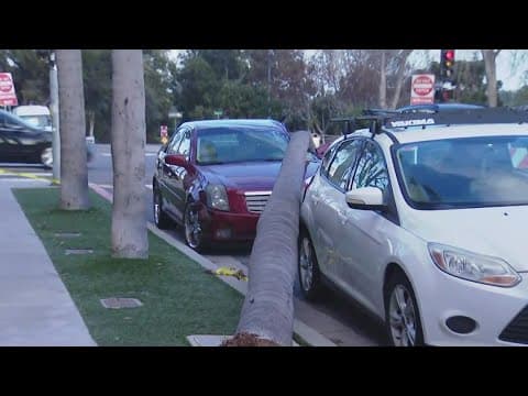 Powerful wind pounds San Diego County, more rain to come