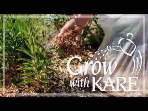 Grow with KARE | Dealing with weird winter weather