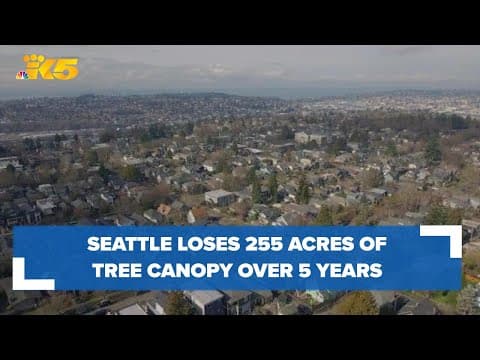 Seattle has lost 255 acres of tree canopy since 2016, report shows