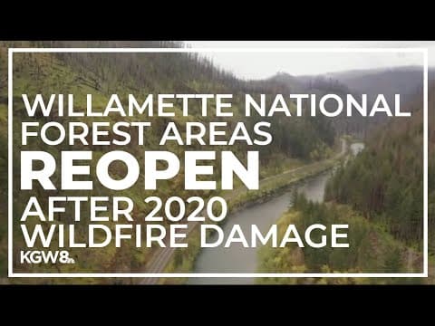 Parts of Willamette National Forest reopen after wildfire damage