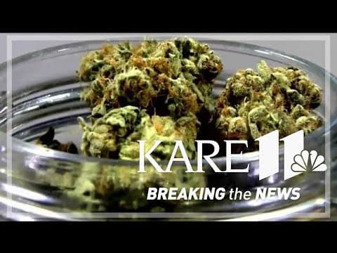 Business leaders aim to get more minority business owners involved in growing cannabis industry