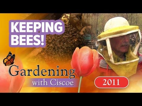 Bob Rivers beekeeping tour | Gardening with Ciscoe | Full Episode