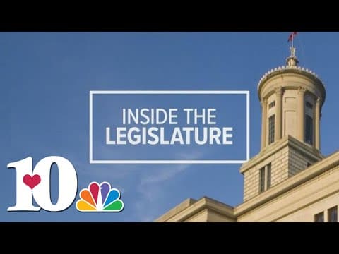 Proposed TN bill would ban Pride flags in schools