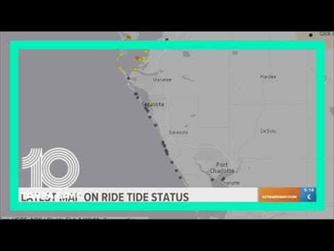 Red tide drops to low levels in Tampa Bay area