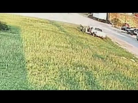 16-year-old accused of stabbing father multiple times in their Pearland home, police say