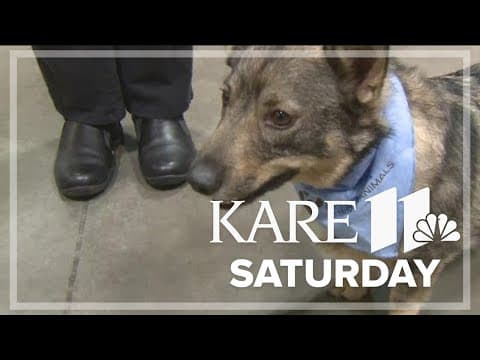 Wagging tails are taking over St. Paul RiverCentre this weekend!