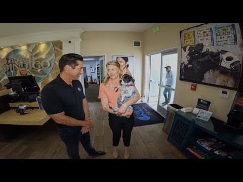 Hotel Indigo | A dog-friendly hotel in Del Mar