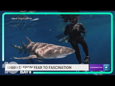 Florida named shark bite capital of the world