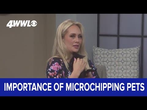 Why it's important to microchip your pet?