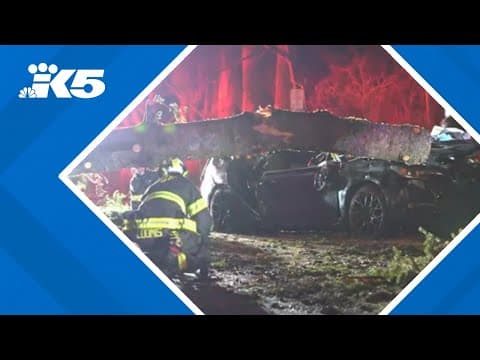 Fallen trees cause scattered power outages in King County after overnight wind storm