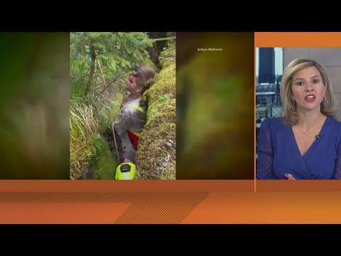 Young man survives cliff fall while hiking with a friend in Switzerland