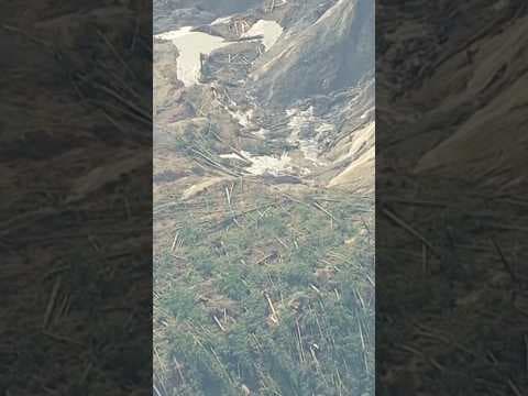 The Slide: Podcast episode looks at hours immediately following the Oso landslide 10 years ago