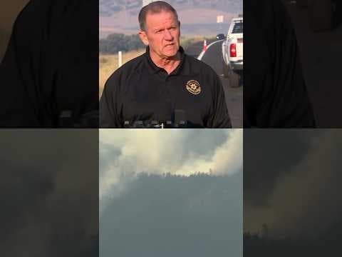 ‘We have a rattlesnake problem’: Colorado wildfire crews deal with snakes