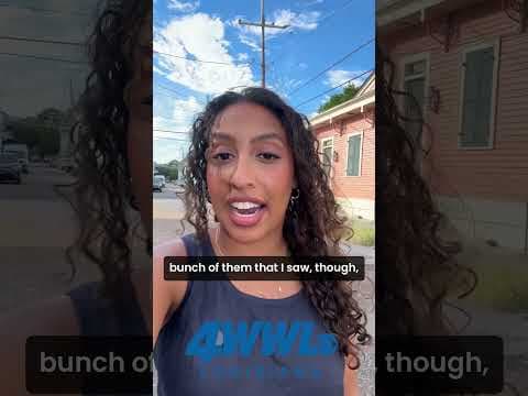 Unfinished road work leaves residents frustrated near Harmony and Constance streets