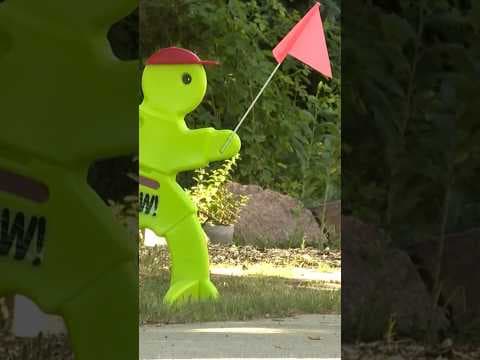 Dog Bites 6-Year-Old Girl in Colorado