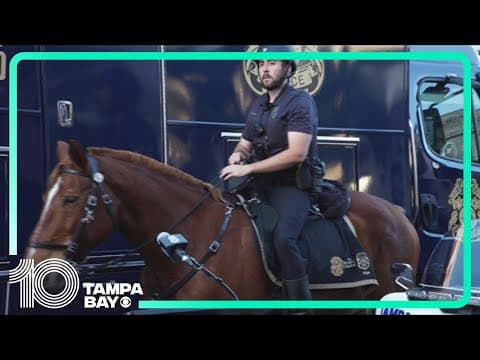 Tampa Police step up patrols for New Year's Eve