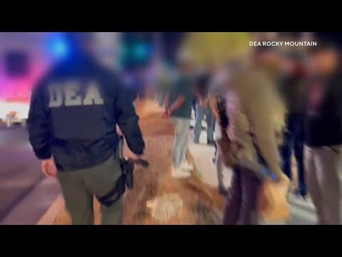 DEA and ICE operations around the country net hundreds of arrests