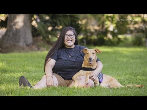 Shelter to Soldier pairs service animals with San Diego veterans