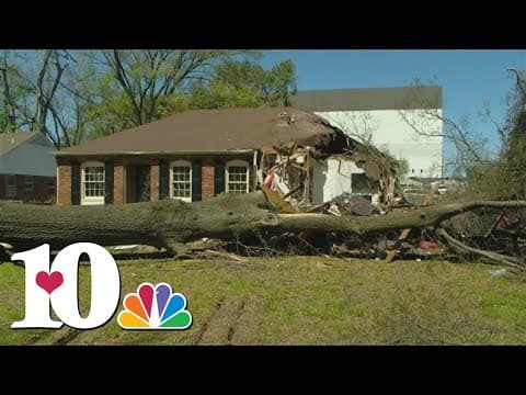 Gov. Lee requests disaster relief after severe storms