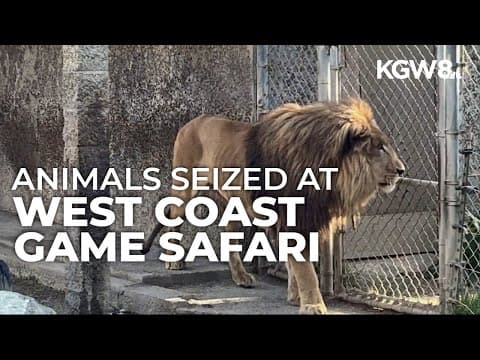 Camel euthanized, animals seized at Bandon game park