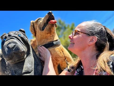 San Diego storm was barking up the wrong tree
