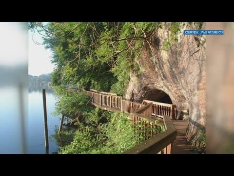 Ijams Nature Center reopens boardwalk after fallen tree caused 'significant damage'