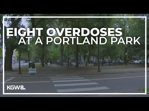 Mass overdose at Pearl District park the most Portland Fire has seen in a single call, official says