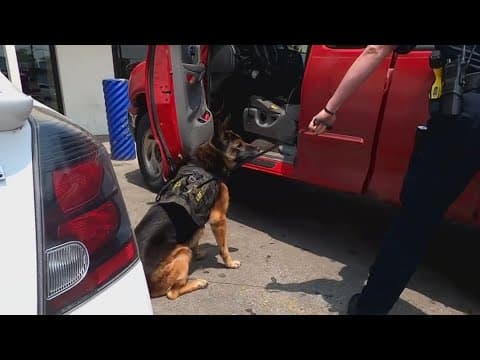 Whitehall police make 28 arrests, recover stolen gun, car in latest crime blitz