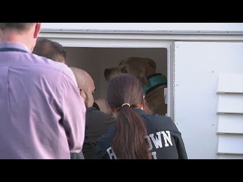 Update: 6-month-old girl dies after Baytown dog attack, police say