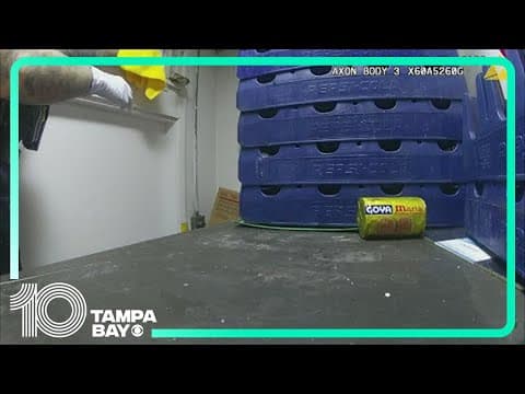 Clearwater officer corrals 5-foot boa constrictor