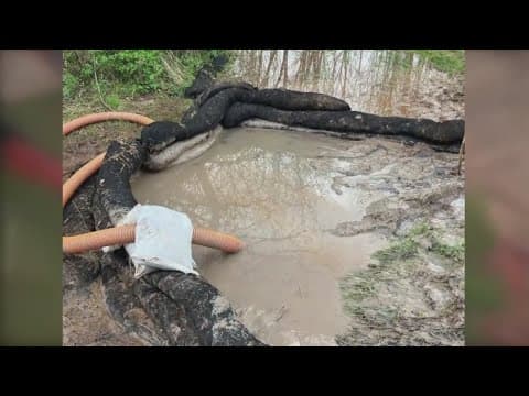 More environmental abuses alleged on Maryland mega data center project