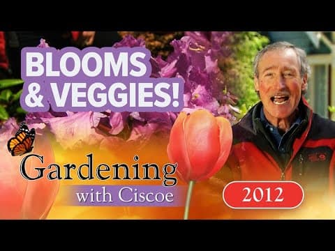 BLOOMS & VEGGIES! Flowers That Help Vegetables Grow! | Gardening With Ciscoe | Full Episode