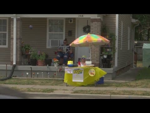 Proposed law would deregulate kids' lemonade stands