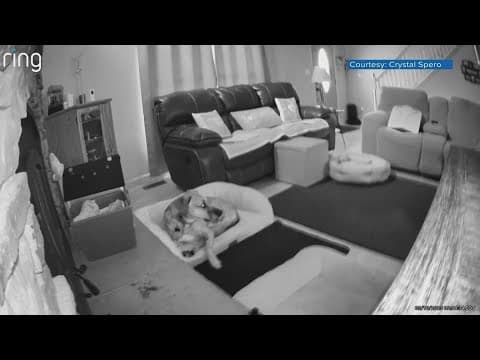 East Tennesseans share their reactions after earthquake hits East TN