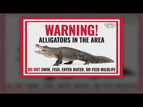Alligator spotted in North Texas town, residents asked to keep their distance
