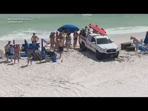 Florida beaches reopen after shark incidents
