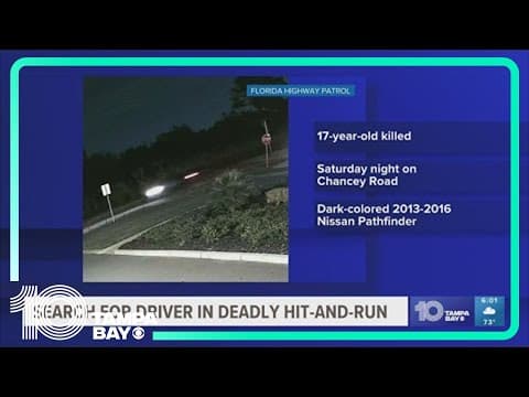 Pasco County teen killed in hit and run in crosswalk