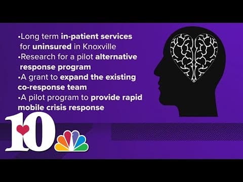 Knoxville City Council voting on mental health resolution with county commission