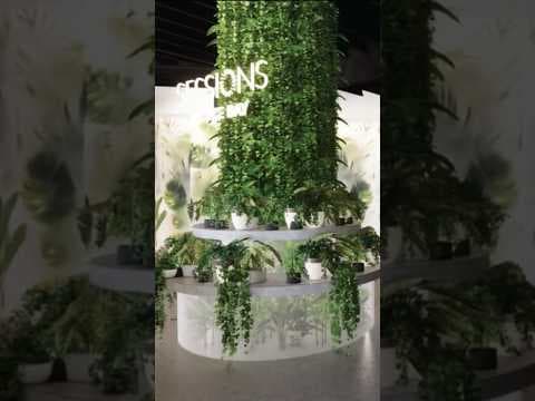 The first cannabis lounge is coming to San Diego County