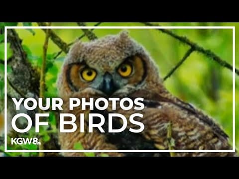 The Good Stuff: Bird photography