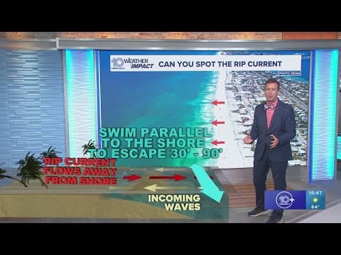 10 Tampa Bay Weather: March 18, 2025