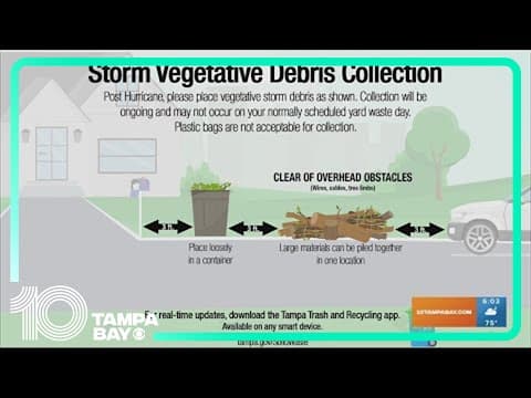 Tampa will begin picking up storm debris tomorrow