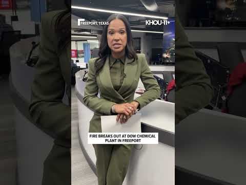 Fire breaks out at Dow chemical plant in Freeport