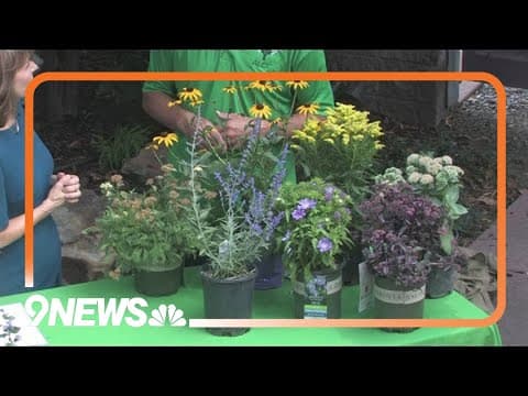 Tips for creating a fall landscape