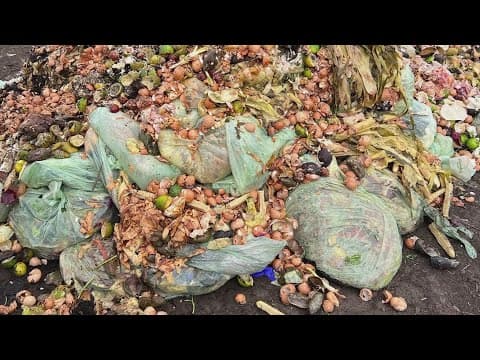 Moonshot Compost is turning food waste into fuel