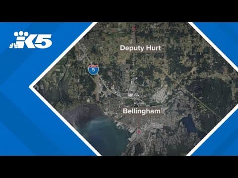 Whatcom Co. deputy injured by accidental misfire